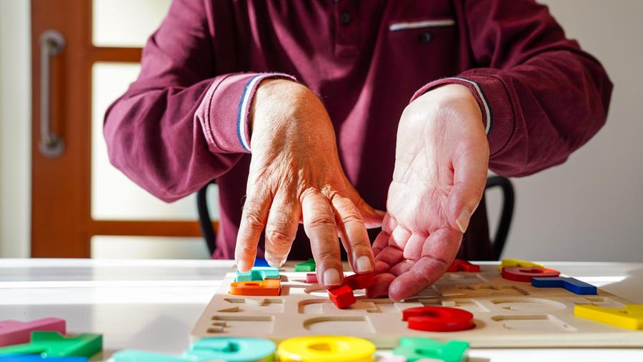 Lokale eiwitsynthese cruciaal voor neuronen