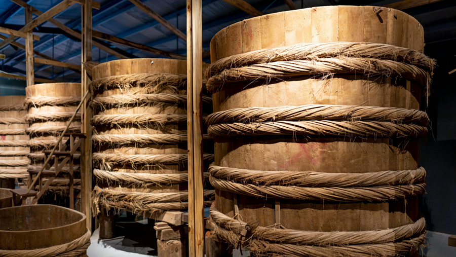 De rol van micro-organismen in fermentatieprocessen ontrafeld